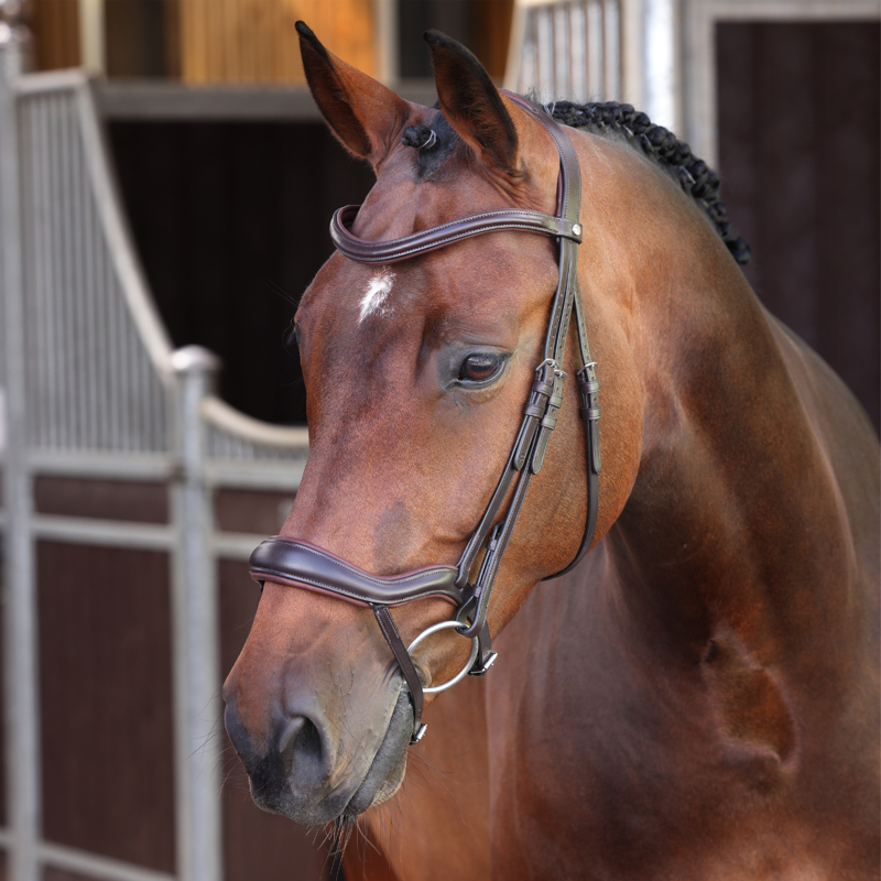 Shires Velociti LUSSO Elite Ergonomic Flash Bridle - Havana
