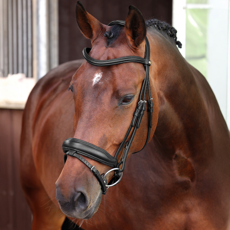 Shires Velociti LUSSO Elite Dressage Flash Bridle - Black