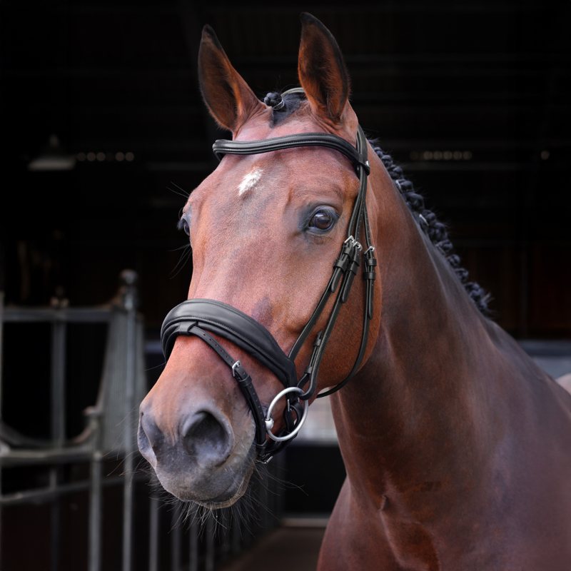 Shires Velociti LUSSO Elite Dressage Flash Bridle - Black-1