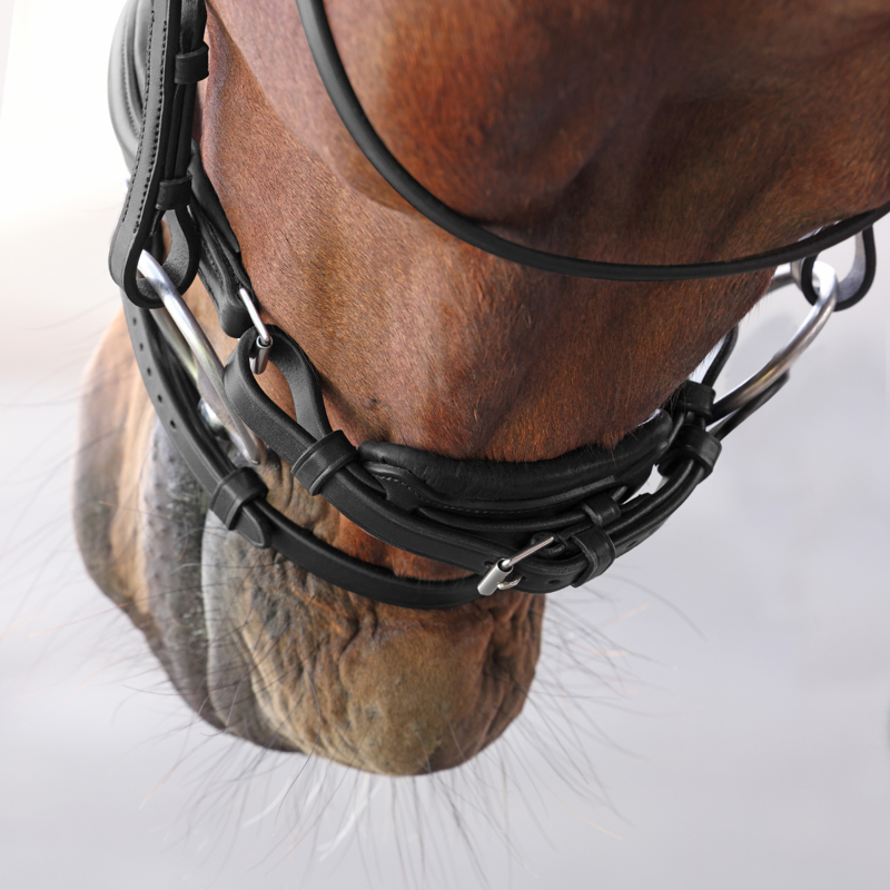 Shires Velociti LUSSO Elite Dressage Flash Bridle - Black-3