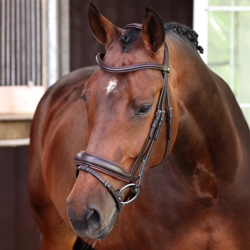 Shires Velociti LUSSO Elite Dressage Flash Bridle - Havana
