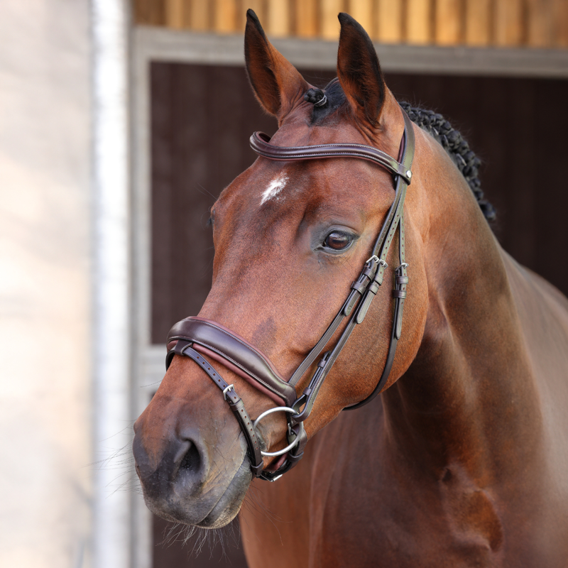 Shires Velociti LUSSO Elite Dressage Flash Bridle - Havana-1