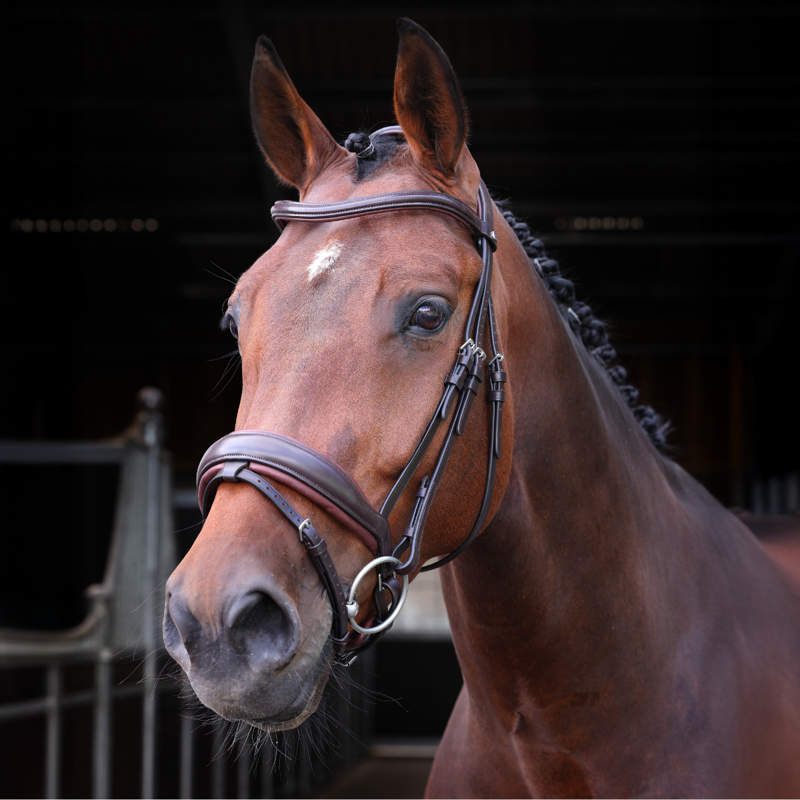 Shires Velociti LUSSO Elite Dressage Flash Bridle - Havana-2