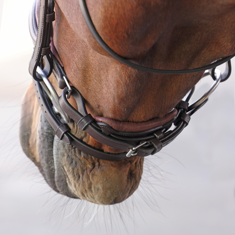Shires Velociti LUSSO Elite Dressage Flash Bridle - Havana-3