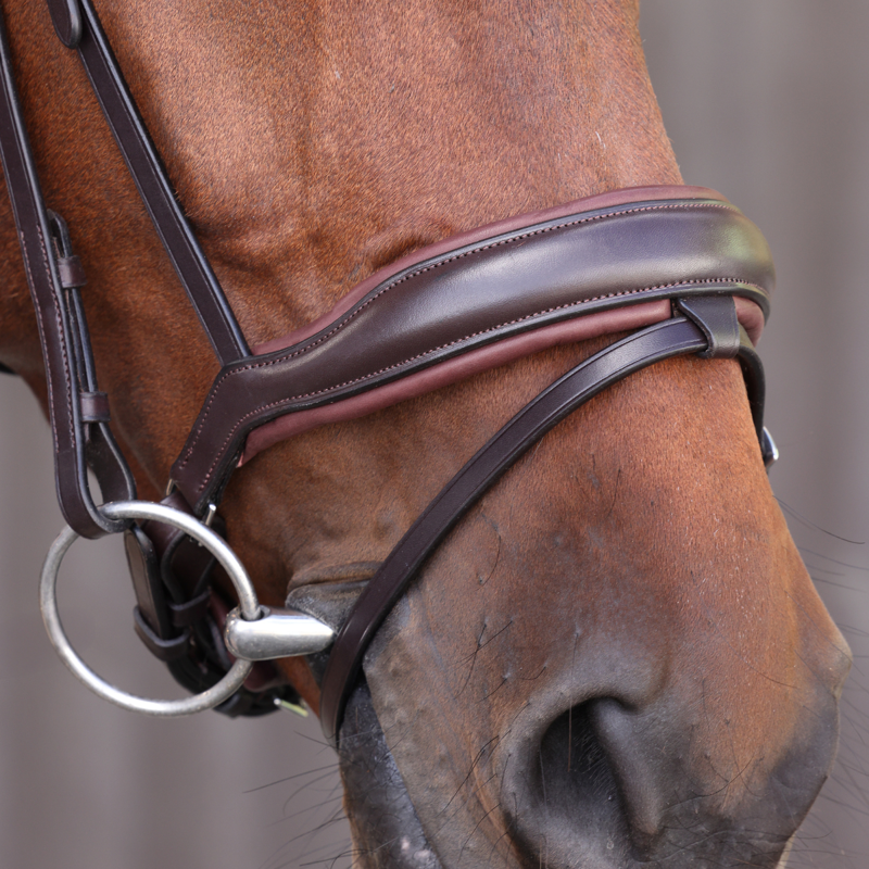 Shires Velociti LUSSO Elite Dressage Flash Bridle - Havana-4