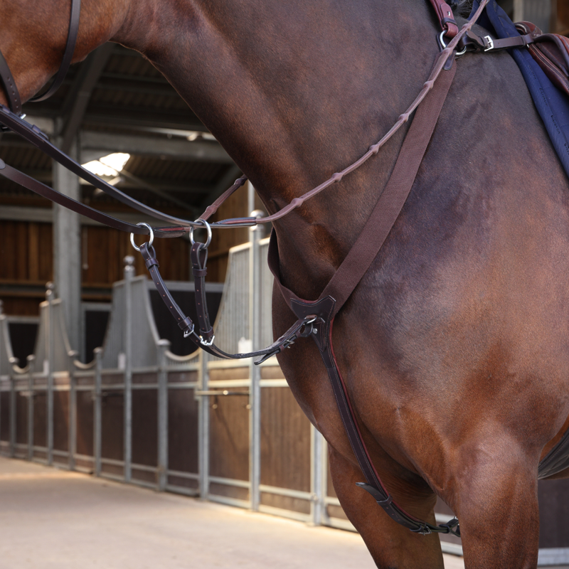 Shires Velociti LUSSO Elite Elastic Breastplate - Havana