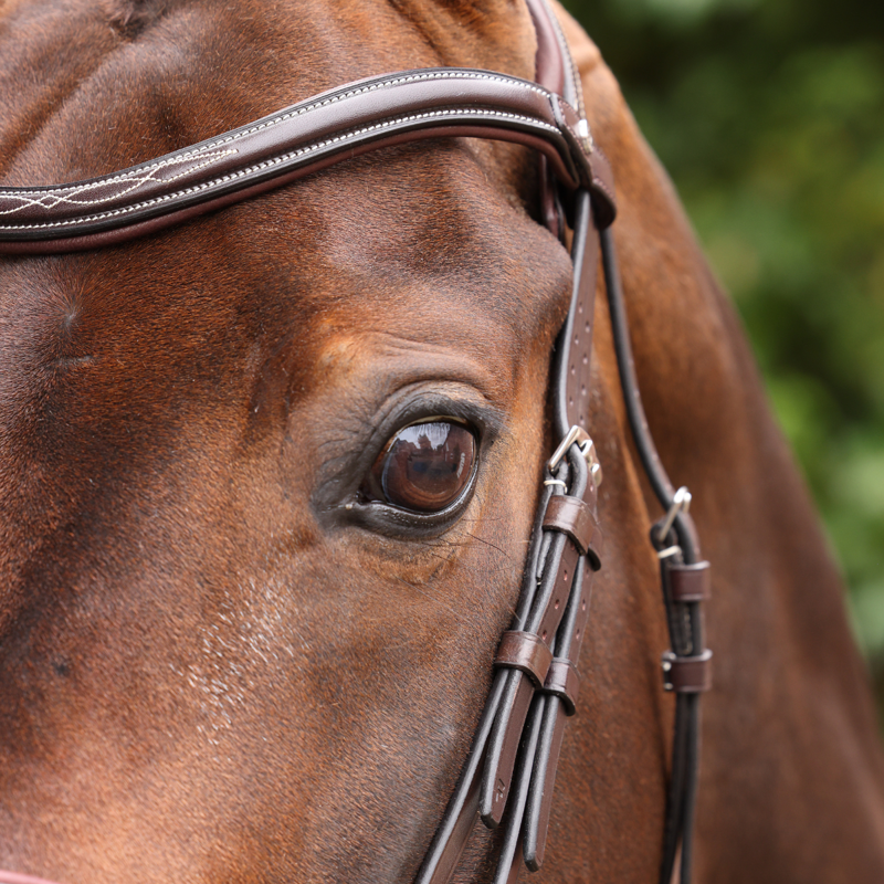 Shires Velociti LUSSO Opus 180M Dressage Cavesson Bridle - Havana-2