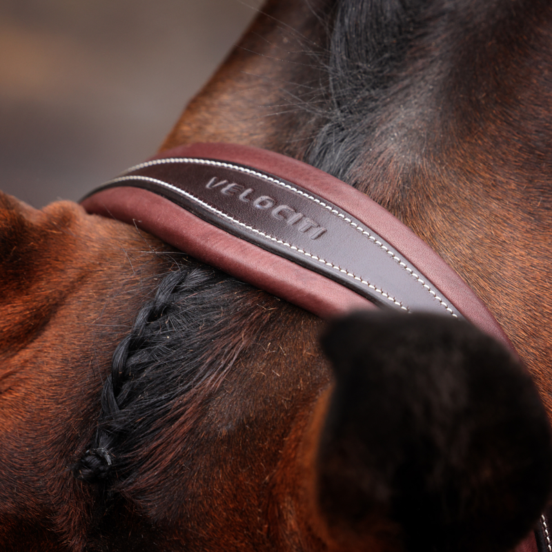 Shires Velociti LUSSO Opus 180M Dressage Cavesson Bridle - Havana-4