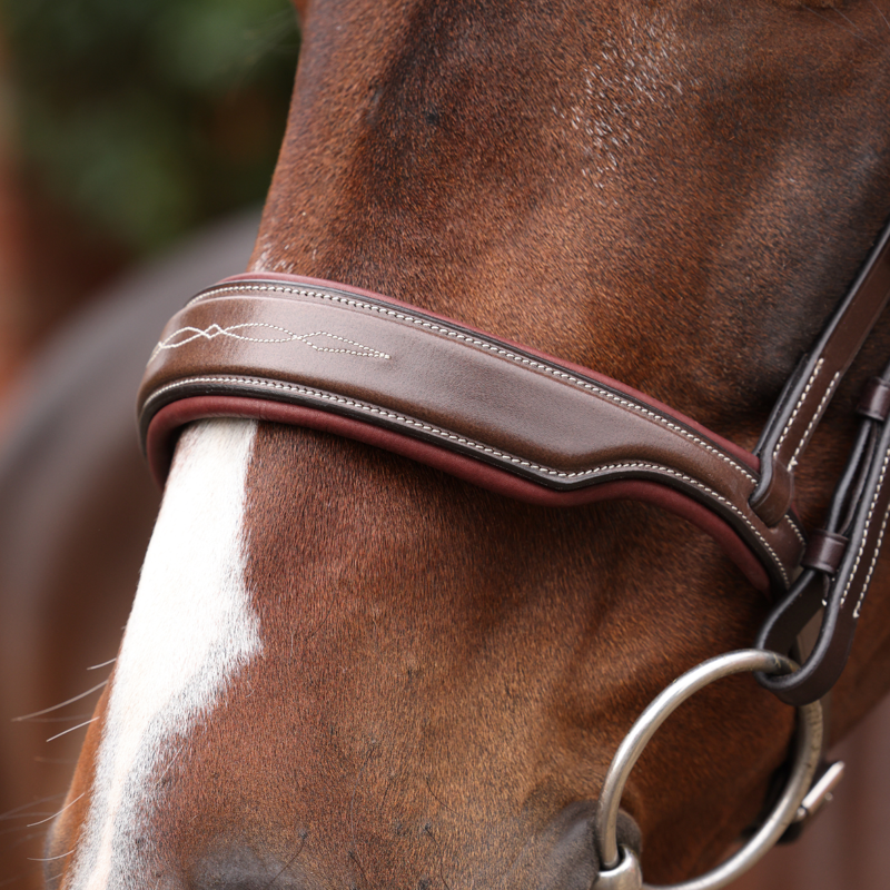 Shires Velociti LUSSO Opus 180M Dressage Cavesson Bridle - Havana-5
