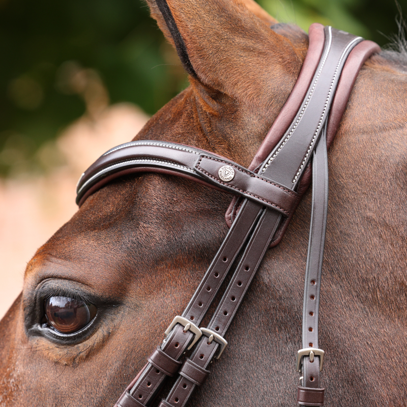 Shires Velociti LUSSO Opus 180M Dressage Cavesson Bridle - Havana-6