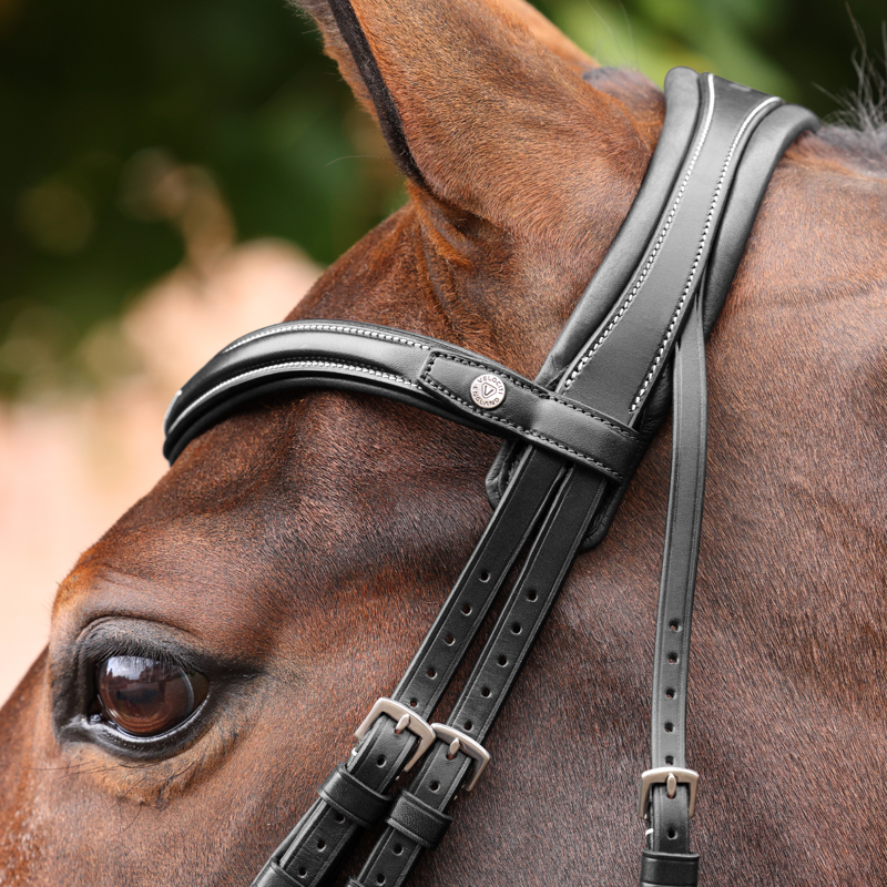 Shires Velociti LUSSO Opus 180M Dressage Cavesson Bridle - Black-1