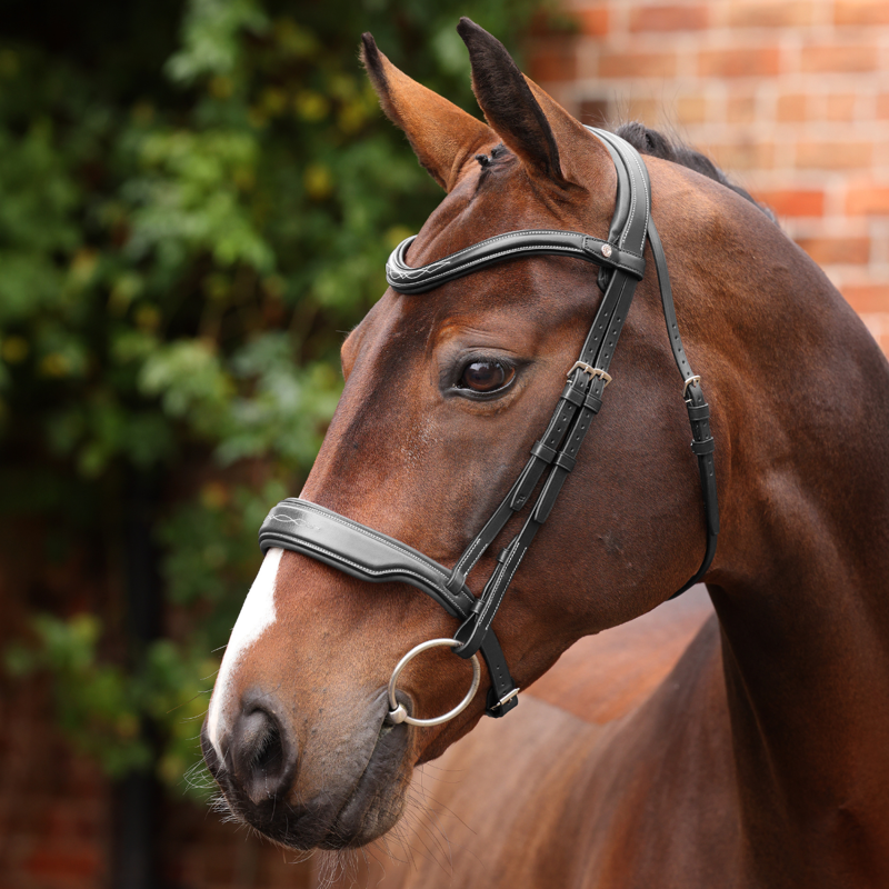 Shires Velociti LUSSO Opus 180M Dressage Cavesson Bridle - Black