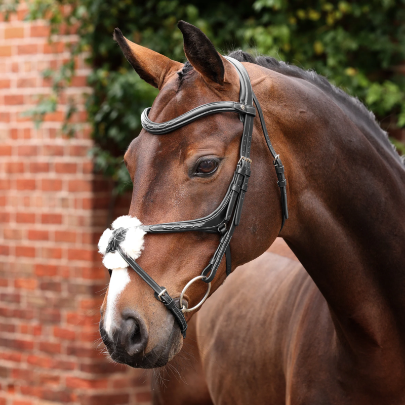 Shires Velociti LUSSO Opus 180M Grackle Bridle - Black