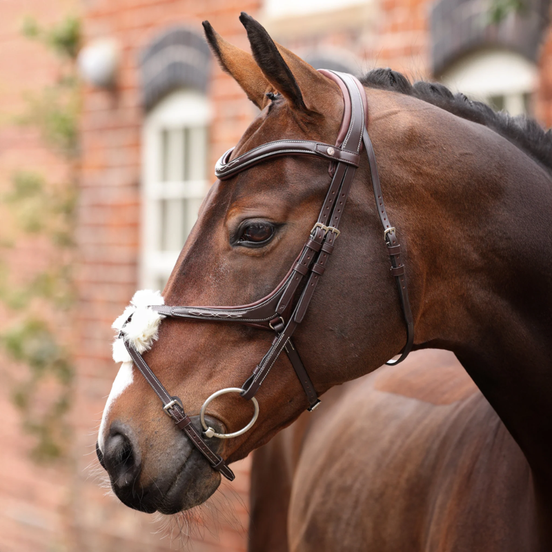 Shires Velociti LUSSO Opus 180M Grackle Bridle - Havana