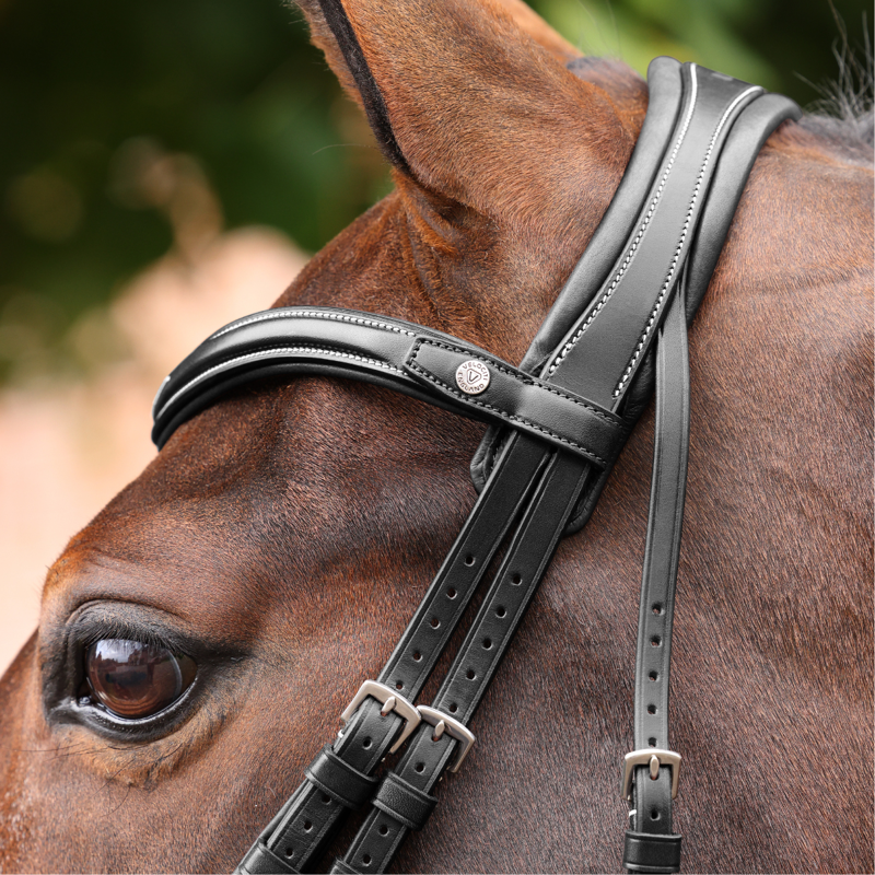 Shires Velociti LUSSO Opus 180M Dressage Flash Bridle - Black-3