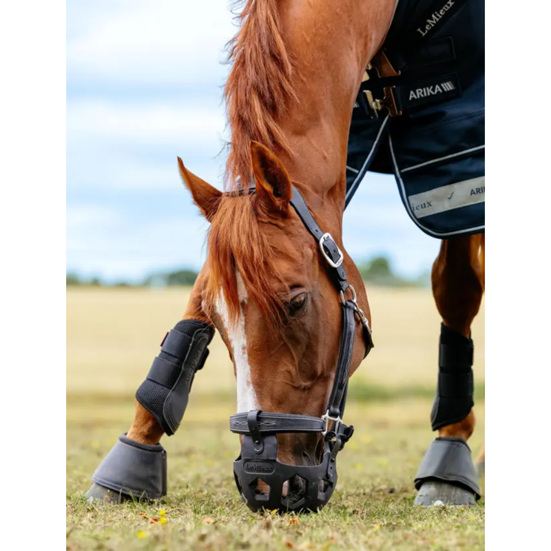 LeMieux Noma Grazing Muzzle - Black-1