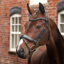 Shires Velociti LUSSO Opus 180M Dressage Flash Bridle - Black