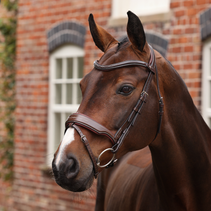 Shires Velociti LUSSO Opus 180M Dressage Flash Bridle - Havana