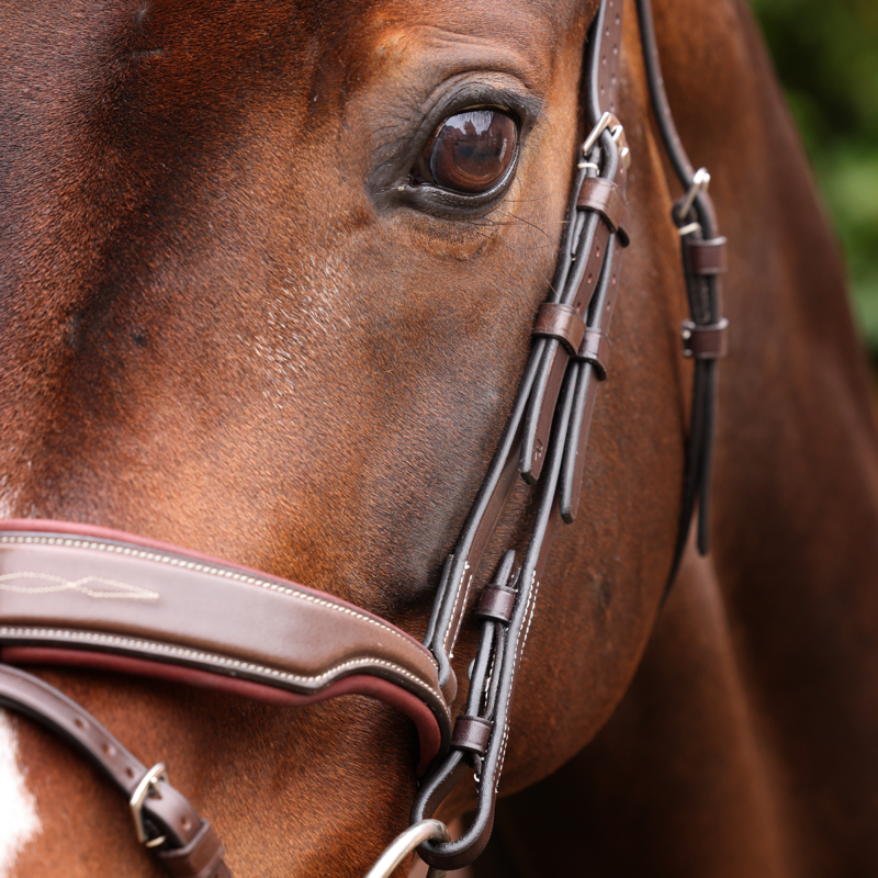 Shires Velociti LUSSO Opus 180M Dressage Flash Bridle - Havana-2