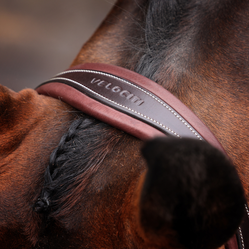 Shires Velociti LUSSO Opus 180M Dressage Flash Bridle - Havana-3