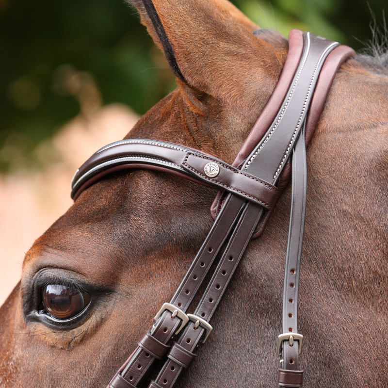 Shires Velociti LUSSO Opus 180M Dressage Flash Bridle - Havana-5