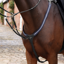 Shires Velociti LUSSO Opus Elastic Breastplate - Black