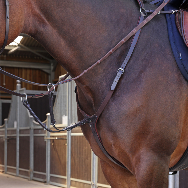 Shires Velociti LUSSO Elite Breastplate - Havana