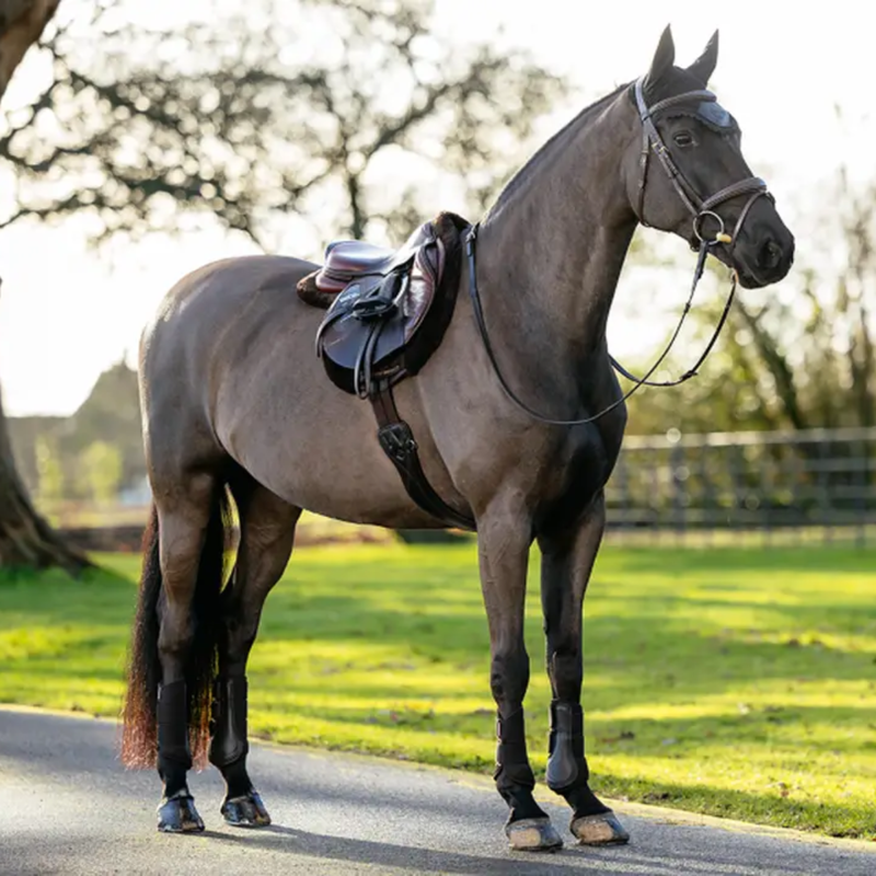 LeMieux Merino+ Hunter Saddlepad - Brown/Brown-2