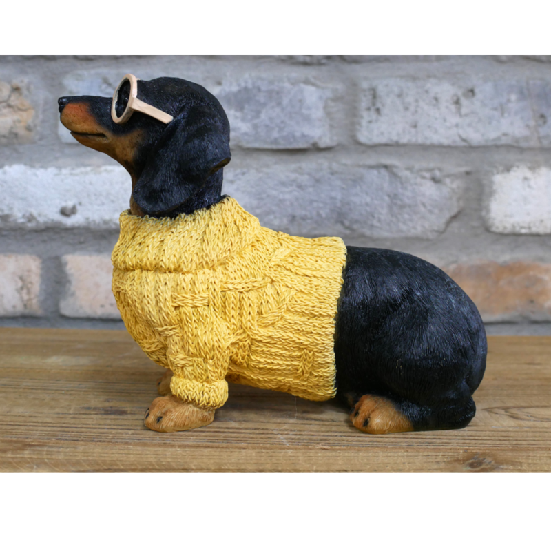 Dachshund Dog In Sweater-1