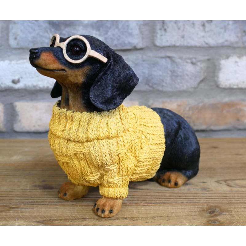 Dachshund Dog In Sweater