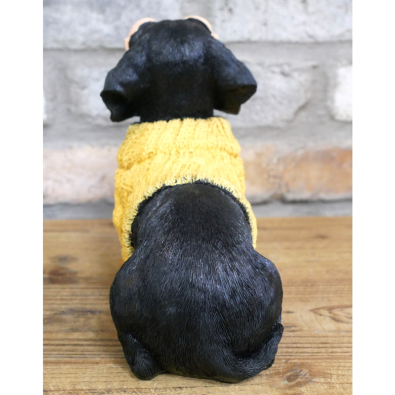 Dachshund Dog In Sweater-2