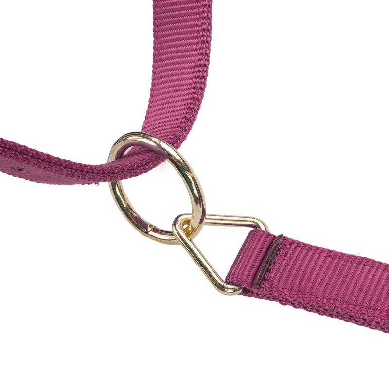 Shires ARMA Premium Adjustable Headcollar - Burgundy-1