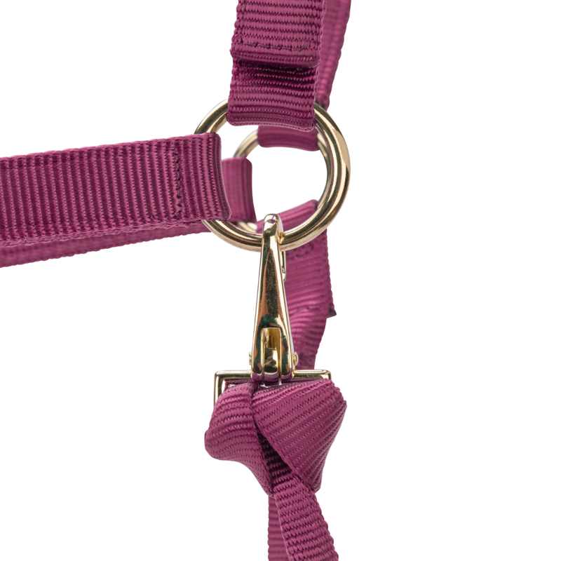 Shires ARMA Premium Adjustable Headcollar - Burgundy-3