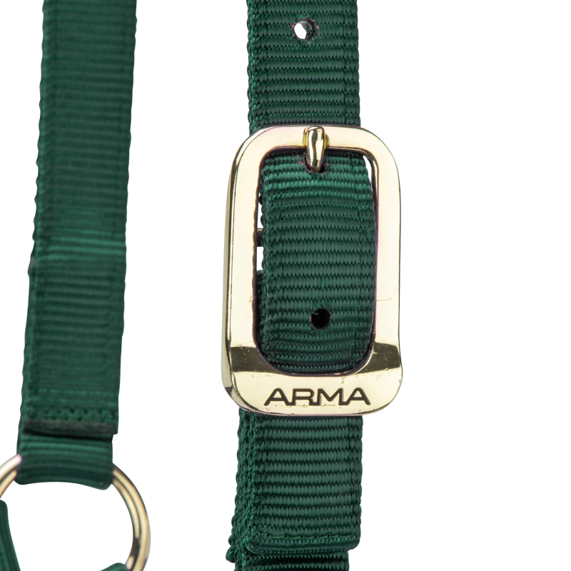 Shires ARMA Premium Adjustable Headcollar - Hunter-3