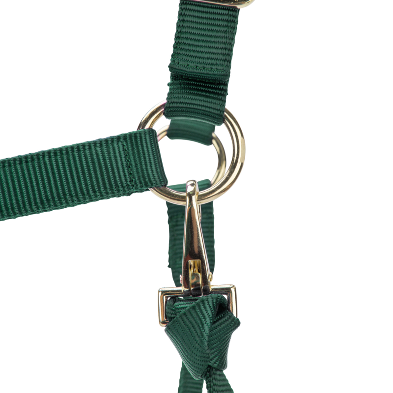 Shires ARMA Premium Adjustable Headcollar - Hunter-4