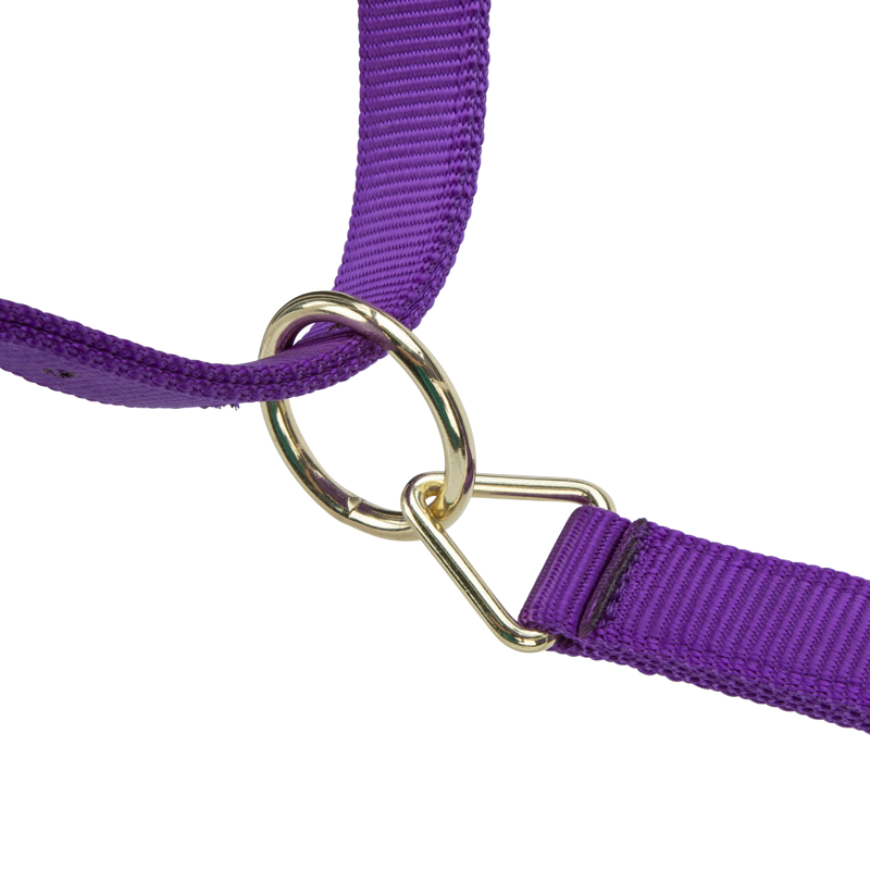 Shires ARMA Premium Adjustable Headcollar - Purple-5