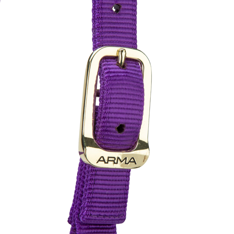 Shires ARMA Premium Adjustable Headcollar - Purple-1
