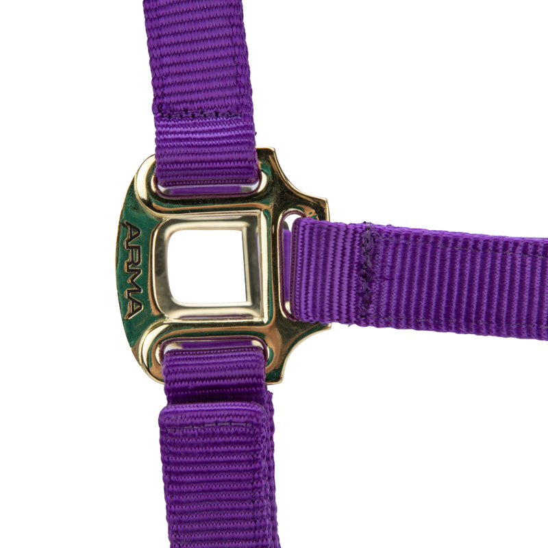 Shires ARMA Premium Adjustable Headcollar - Purple-3