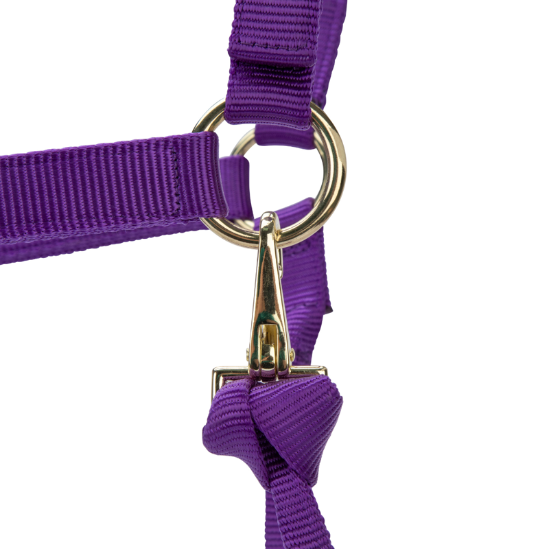 Shires ARMA Premium Adjustable Headcollar - Purple-4