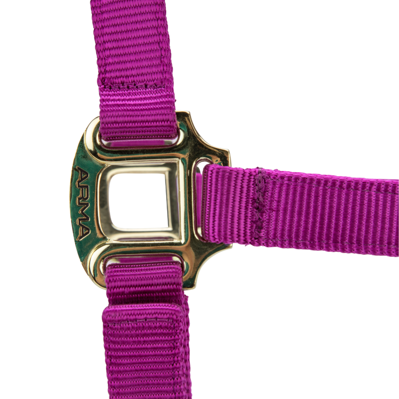 Shires ARMA Premium Adjustable Headcollar - Raspberry-4