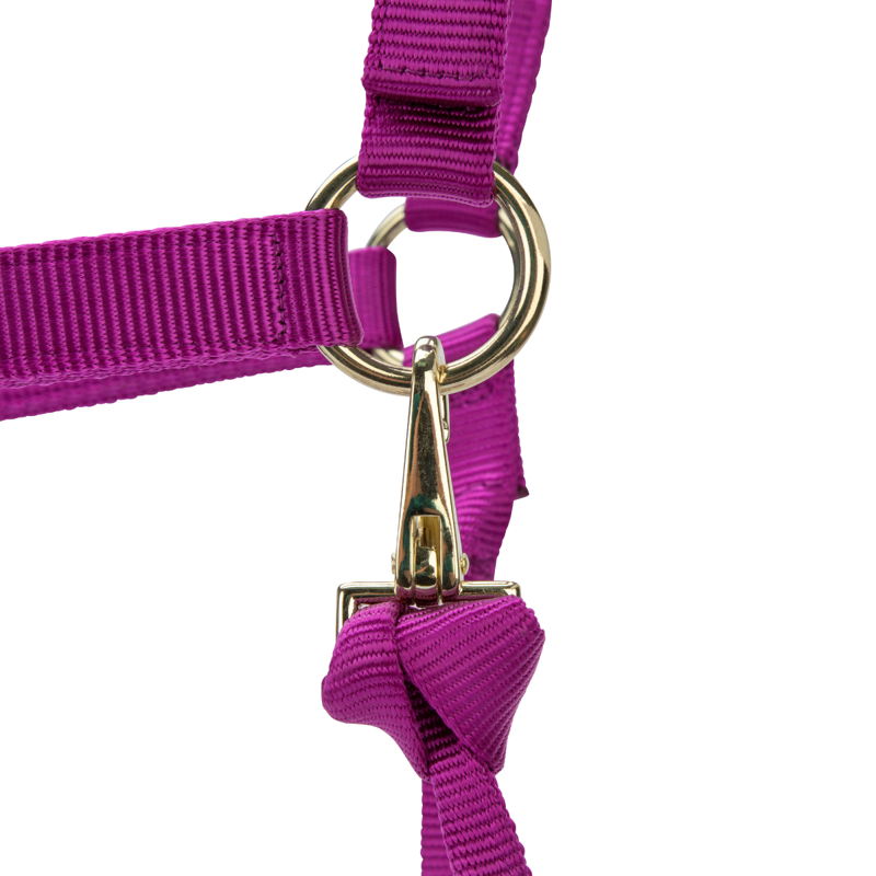 Shires ARMA Premium Adjustable Headcollar - Raspberry-5