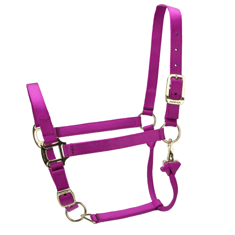Shires ARMA Premium Adjustable Headcollar - Raspberry