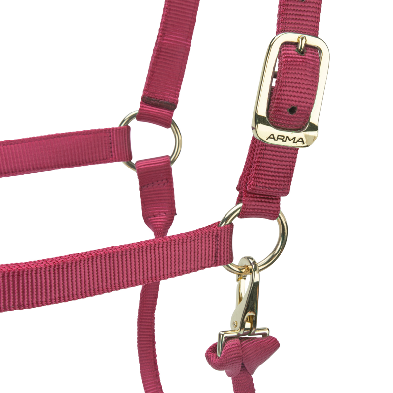 Shires ARMA Premium Adjustable Headcollar - Red-3