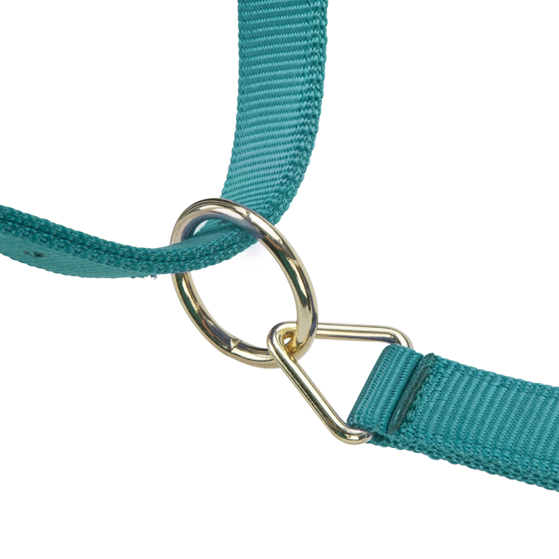 Shires ARMA Premium Adjustable Headcollar - Teal-1