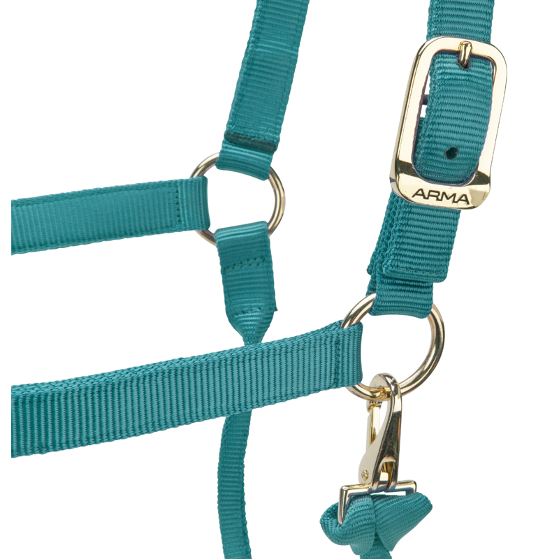 Shires ARMA Premium Adjustable Headcollar - Teal-2