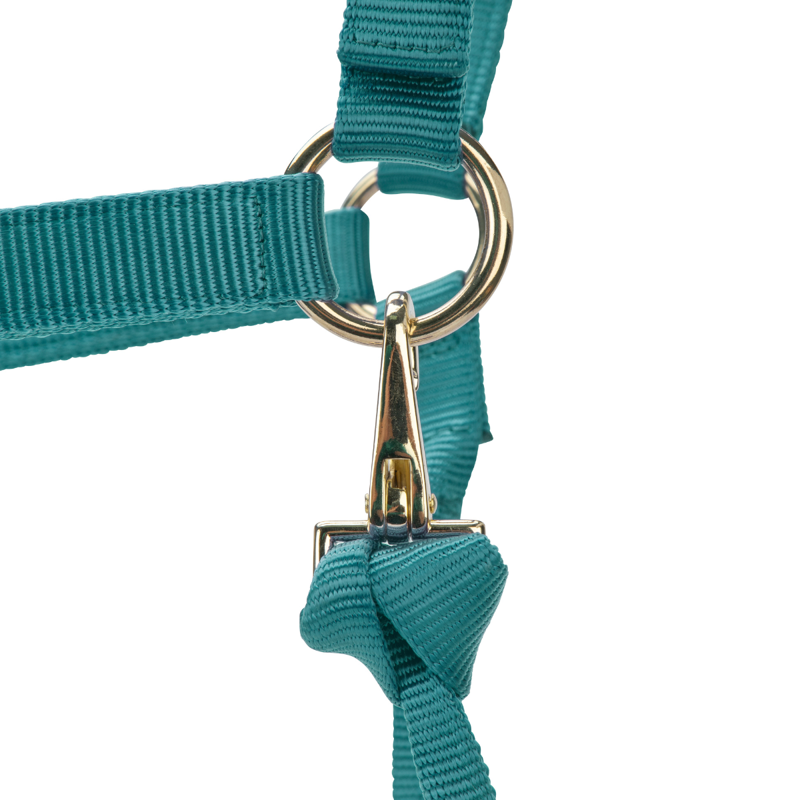 Shires ARMA Premium Adjustable Headcollar - Teal-3
