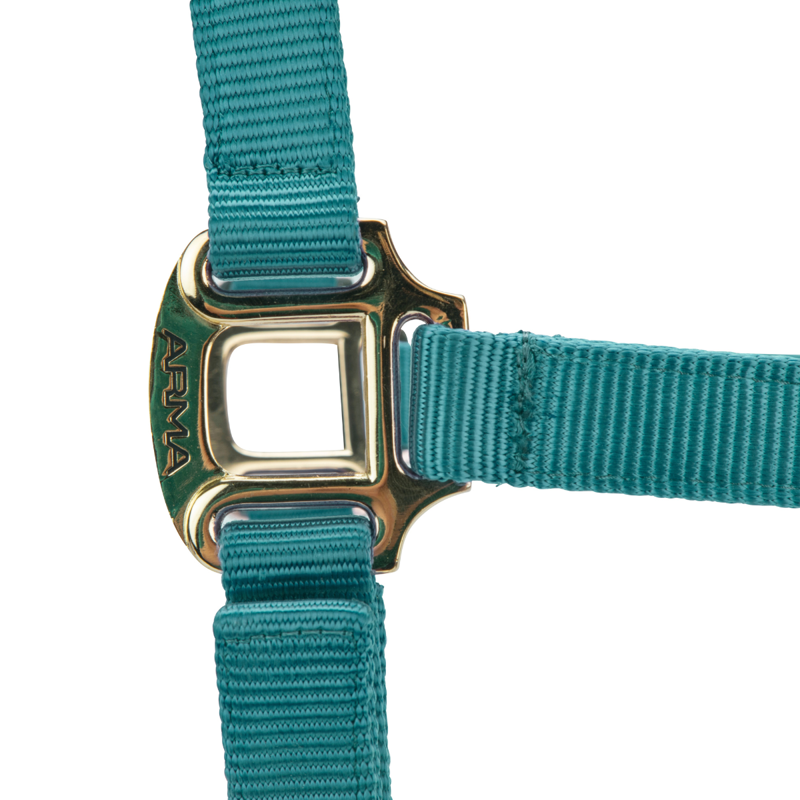 Shires ARMA Premium Adjustable Headcollar - Teal-4