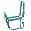 Shires ARMA Premium Adjustable Headcollar - Teal