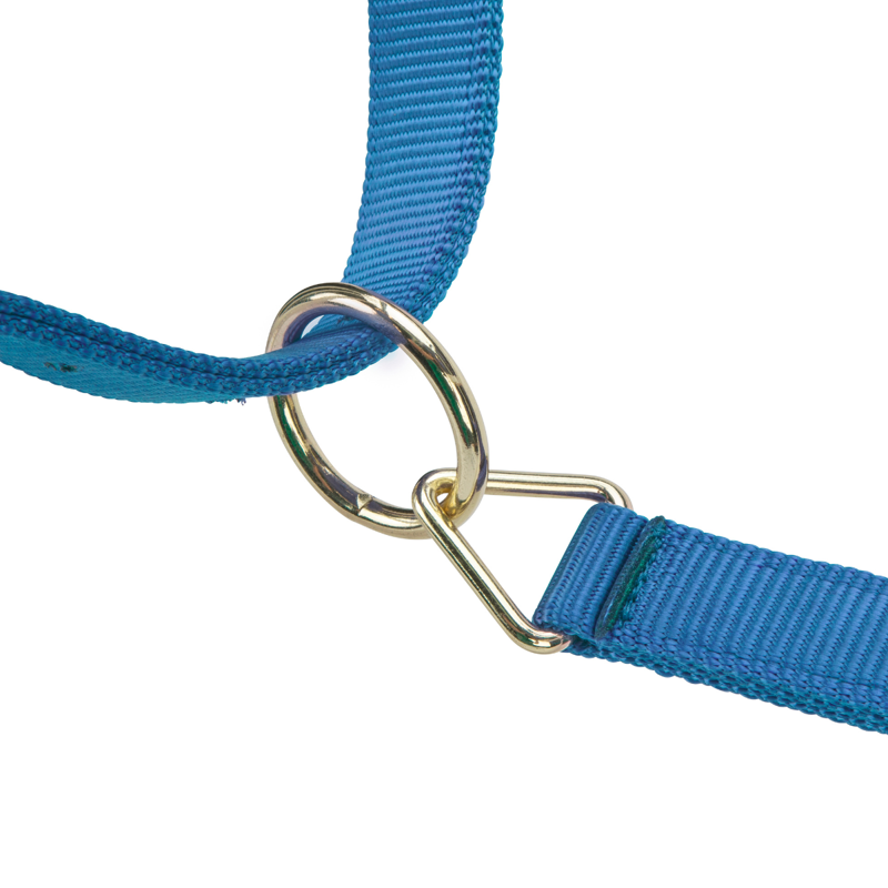 Shires ARMA Premium Adjustable Headcollar - Royal-3