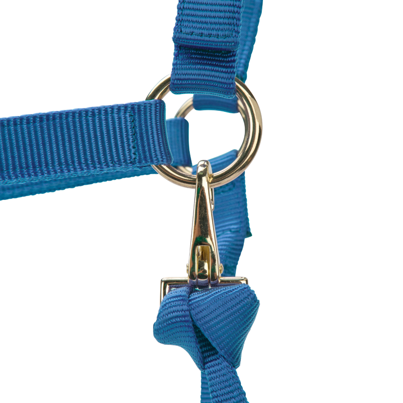 Shires ARMA Premium Adjustable Headcollar - Royal-4